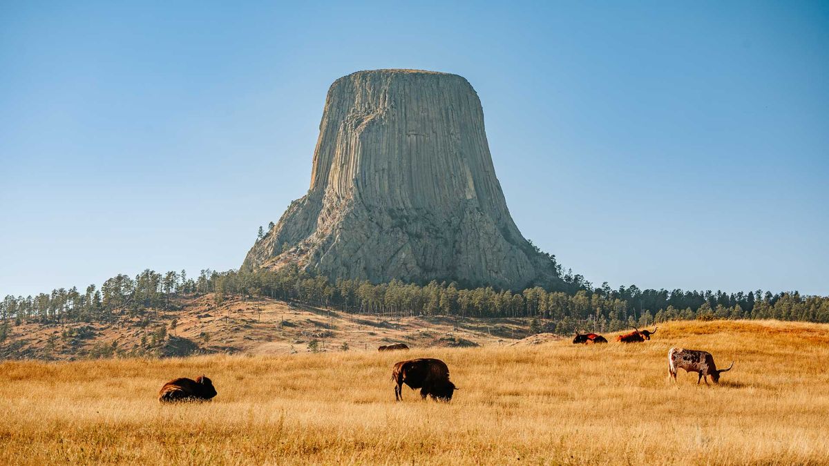 Como a celebração de 120 anos de um monumento natural impulsiona a economia turística