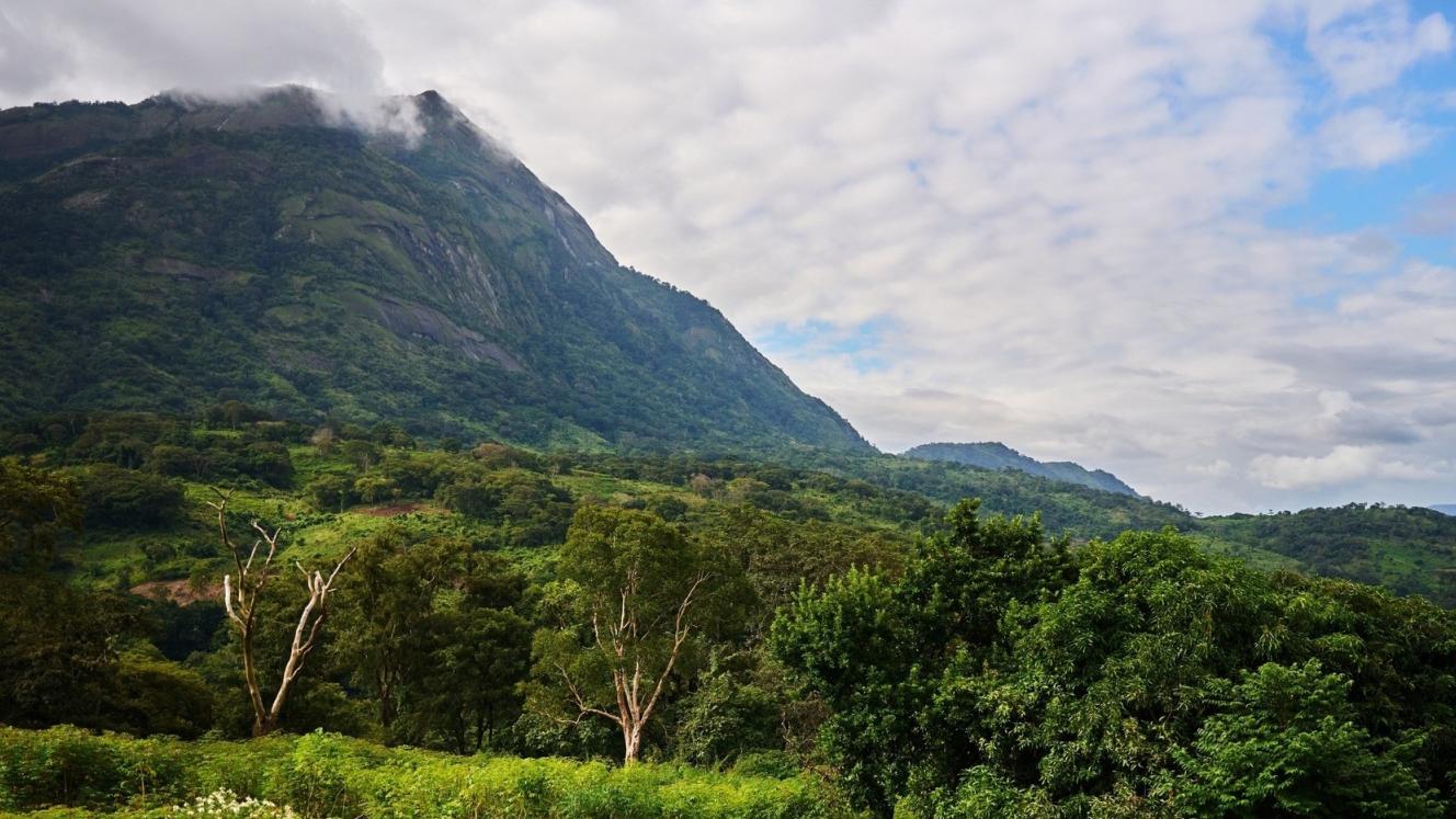 Conservação comunitária em Moçambique impulsiona turismo sustentável