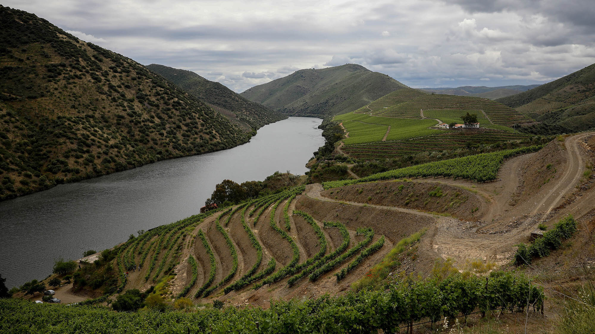 Inovação turística no Douro: diversificação de experiências e impacto económico