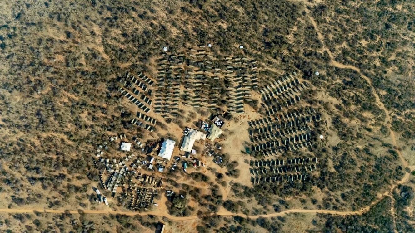 Safári de luxo impulsiona R$21 milhões em África do Sul
