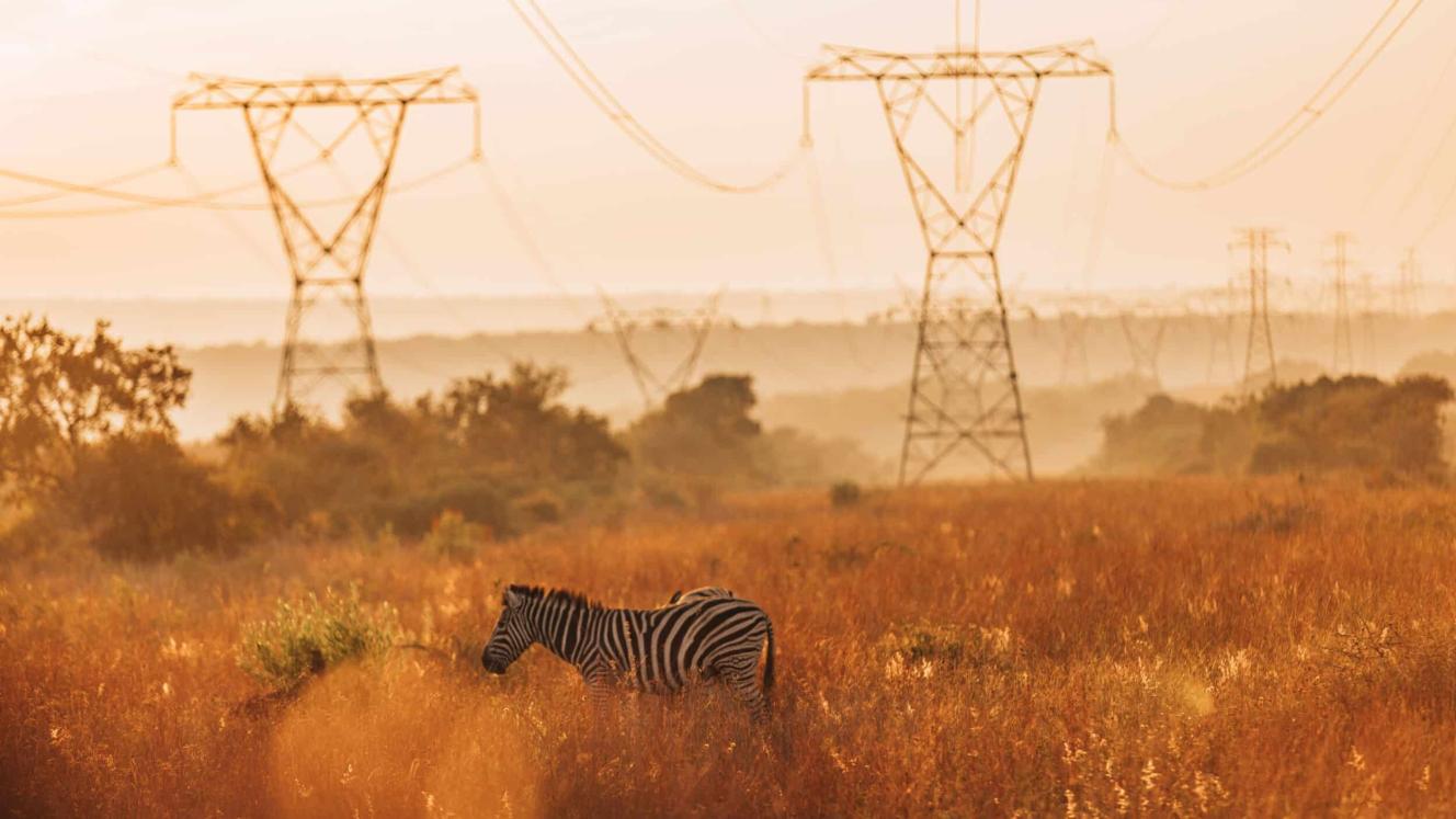 Turismo de luxo em Gauteng impulsiona investimentos no setor hoteleiro